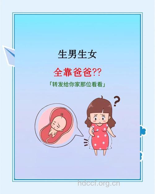 生男生女关键在爸爸身上