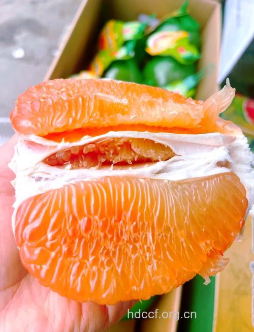 孕妇可以吃柚子吗 孕妇秋季吃什么水果好