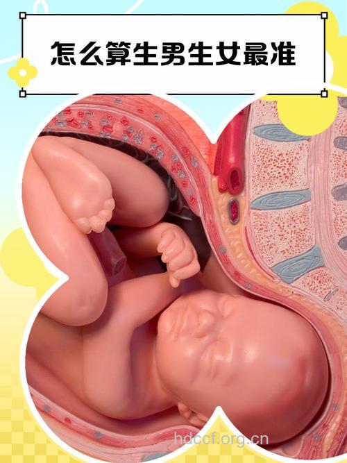 夫妻7种状态下易生男孩