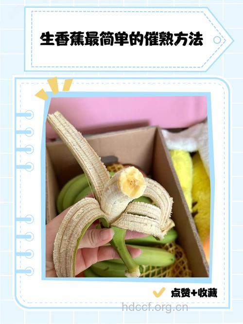想生女孩就要少吃香蕉
