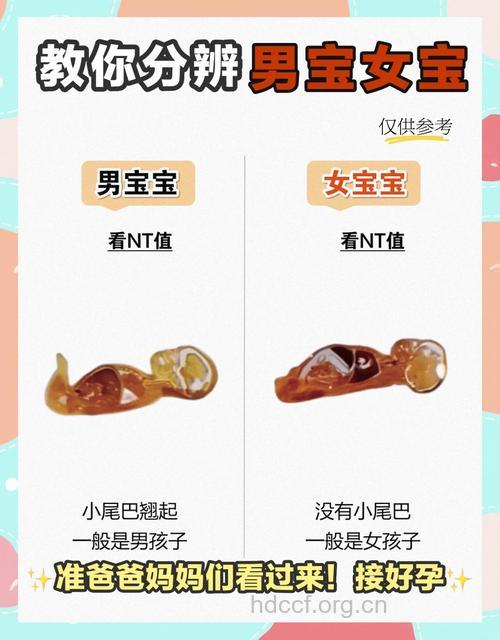 猜测宝宝性别的44个方法