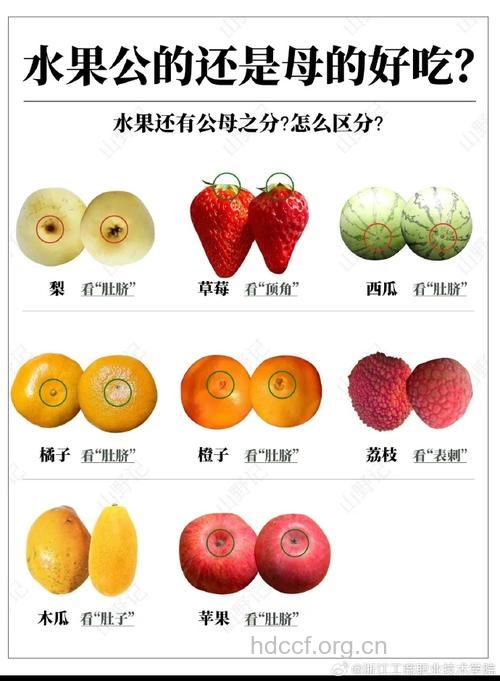 四大食物可左右胎儿性别