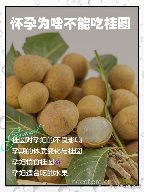 孕妇可以吃桂圆吗？孕期9种食物不能吃