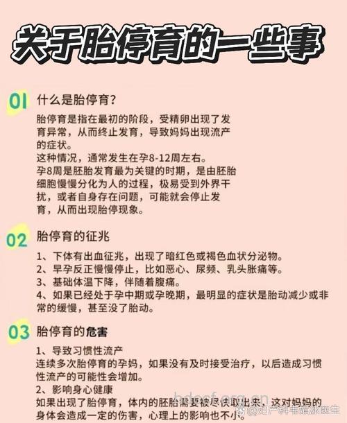 孕期知识 孕早期胎停的症状有哪些
