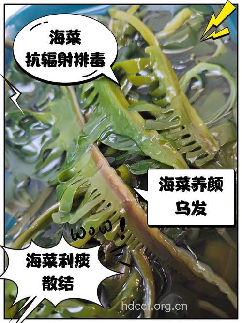 孕妇能吃海带吗 六种蔬菜孕妇不能吃