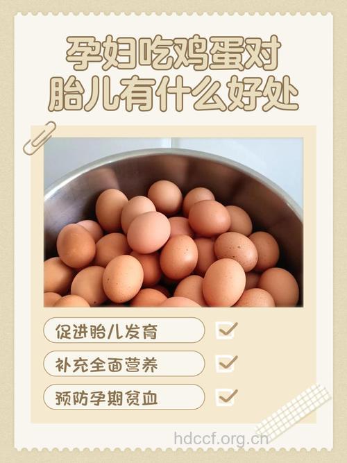 孕期吃鸡蛋好处多 但并非多多益善