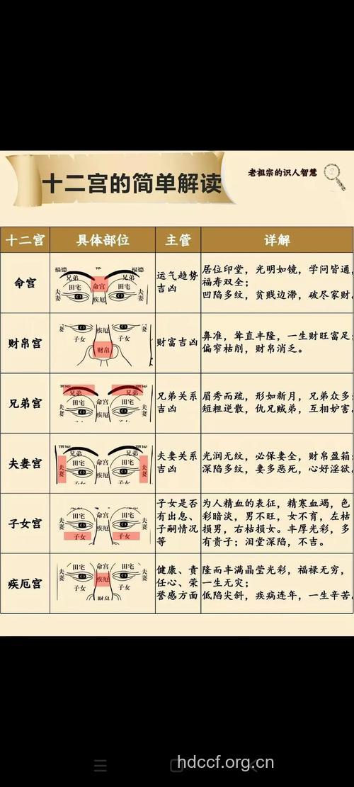 从面相看你生男生女?