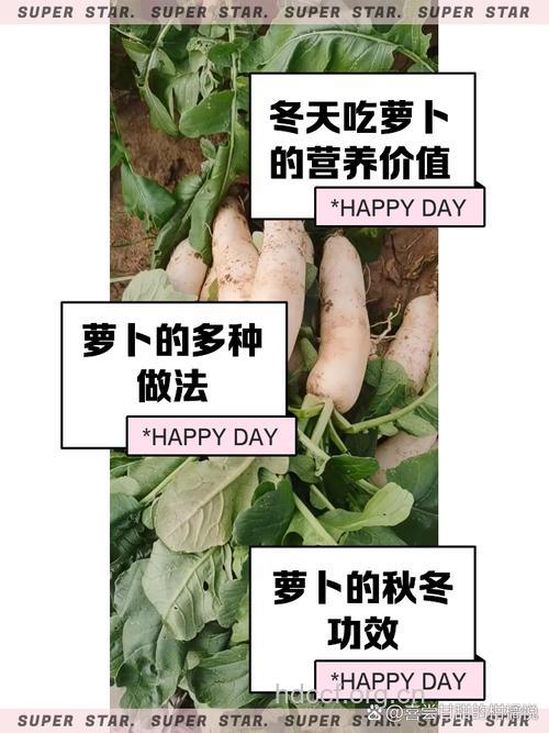 冬天的萝卜赛人参 孕妇可以吃萝卜吗