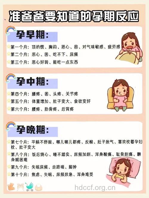 有这些反应 说明你可能怀孕了