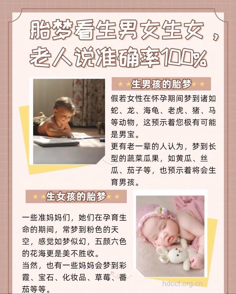 胎梦能暗示生男生女吗