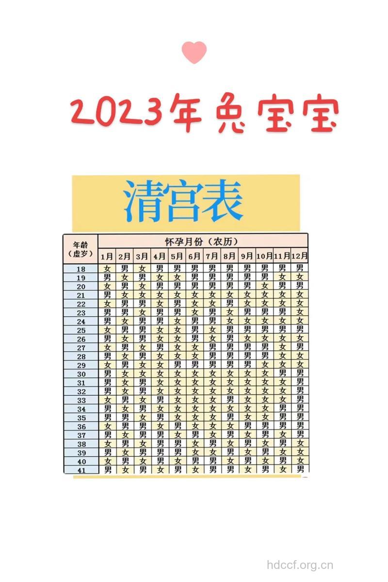 兔年生男生女预测表