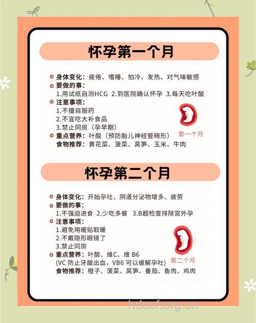 刚怀孕应该注意什么 准妈妈养胎须知