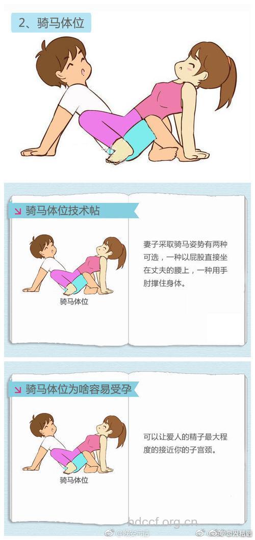 盘点2010最佳的受孕姿势