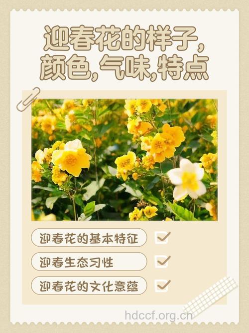 春季踏青赏花 孕妇要远离7种致命花草