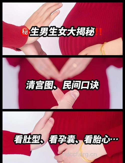 公布生男生女的绝密方法