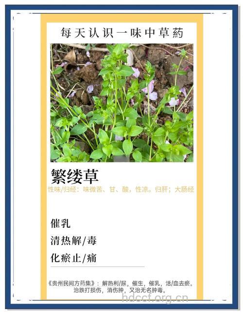 神奇草药控制生男生女？