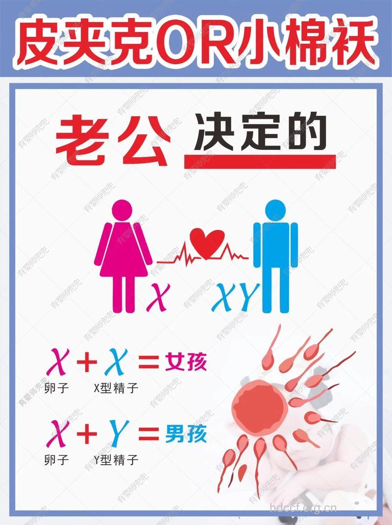 酸碱生男生女靠得住?