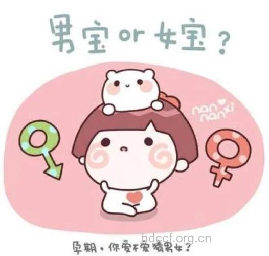 生男生女还会受气候影响