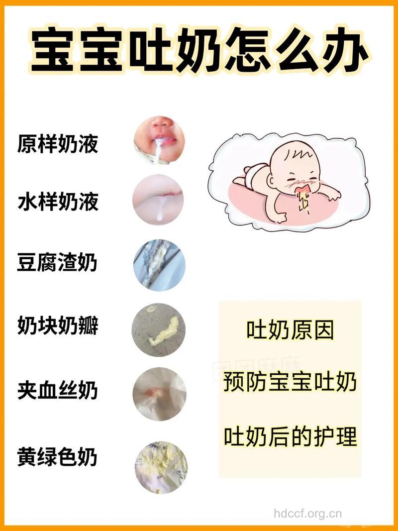 新生宝宝为何会经常呕吐