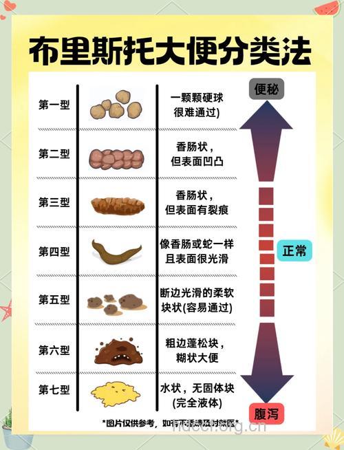 粪便的性状比排便次数更为重要