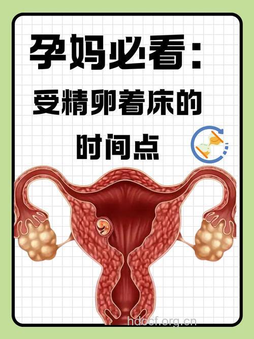 备孕须知 这些因素会影响受精卵着床