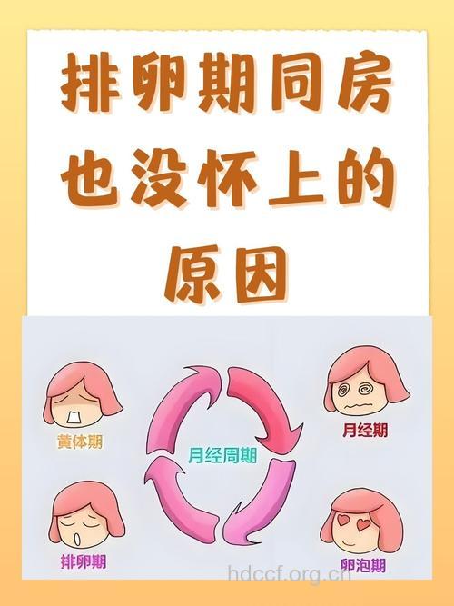 排卵期同房还是怀不上 可能是这里出错了