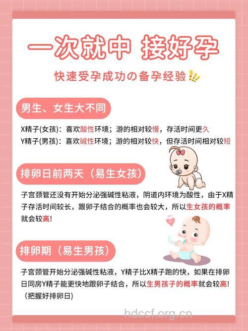 逢接必中 网友备孕成功经验分享