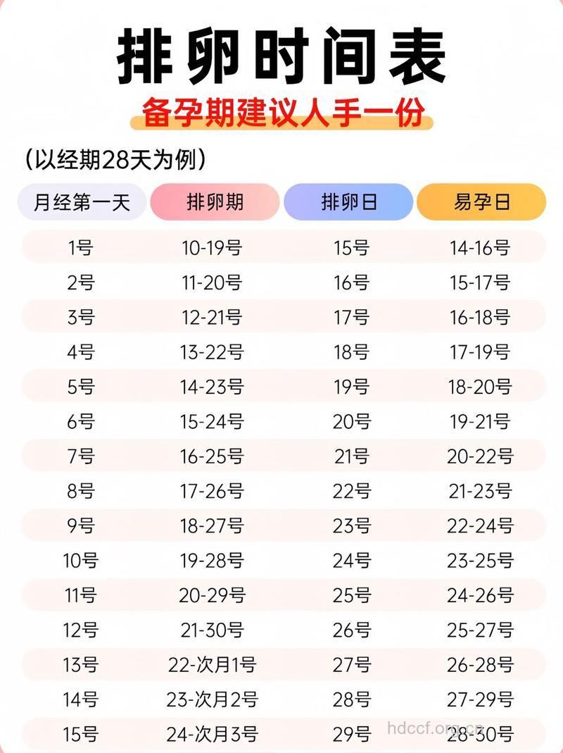4号排卵已好孕 备孕好孕过程分享
