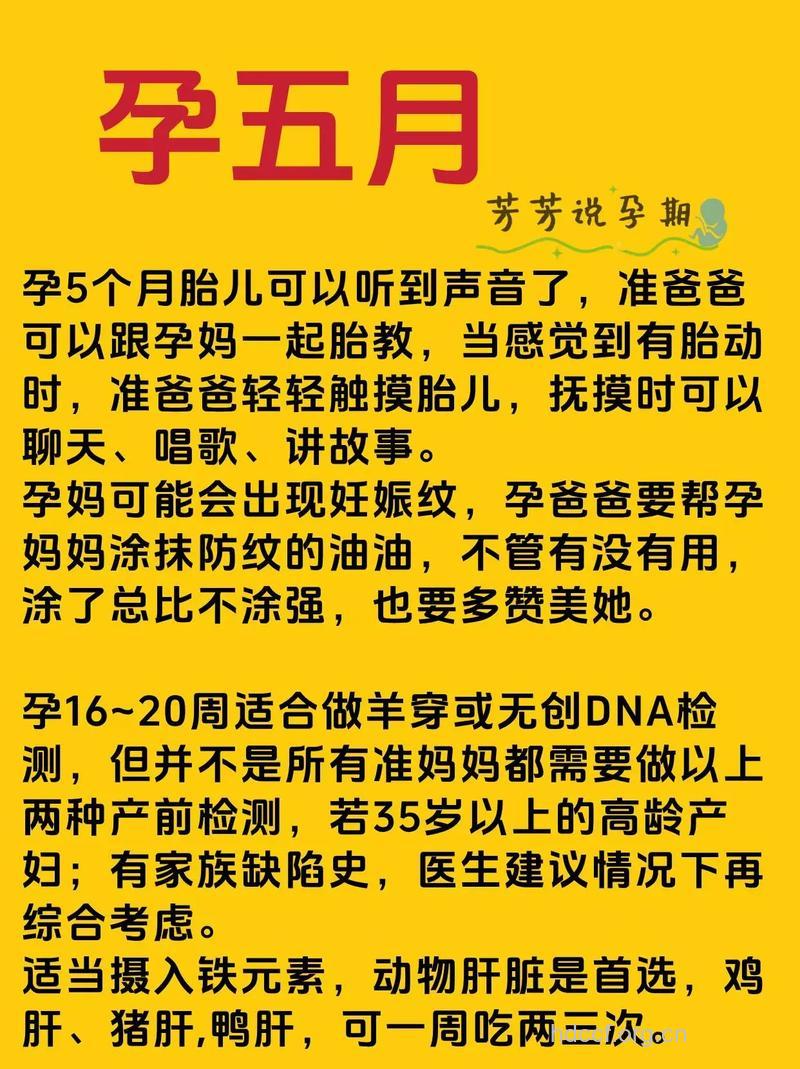备孕第5月好孕到来!网友好孕经验分享