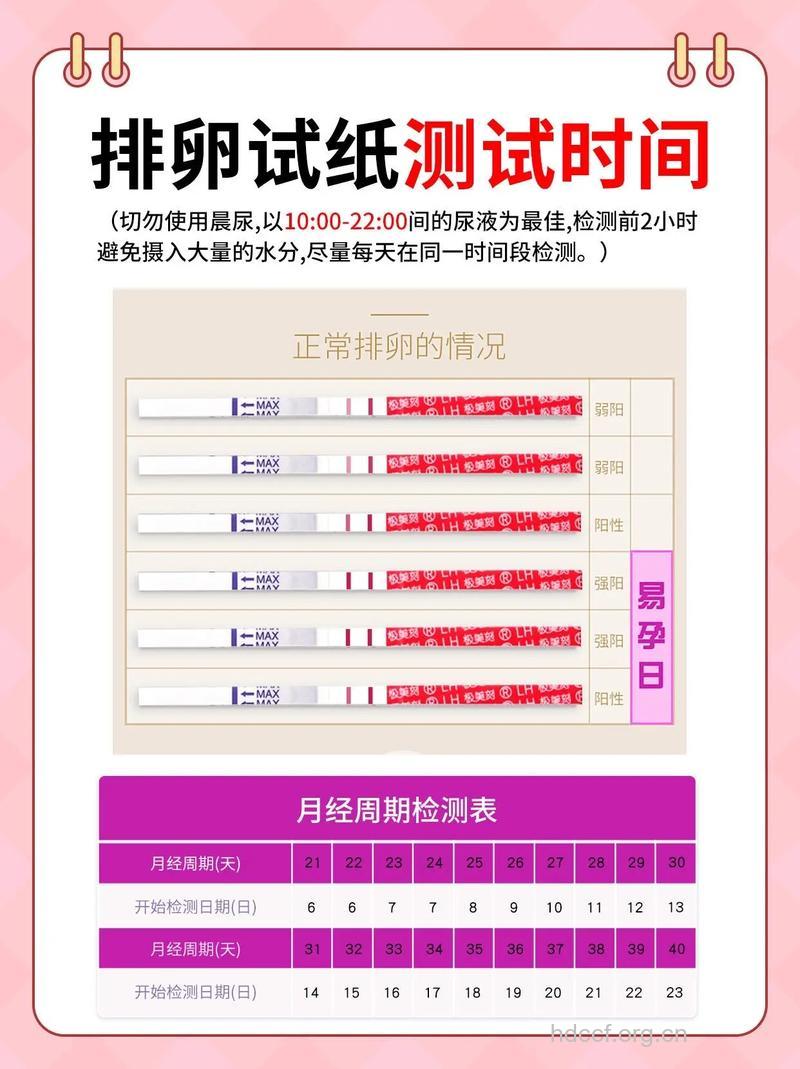 如何自我监测排卵 自我监测排卵开始时间
