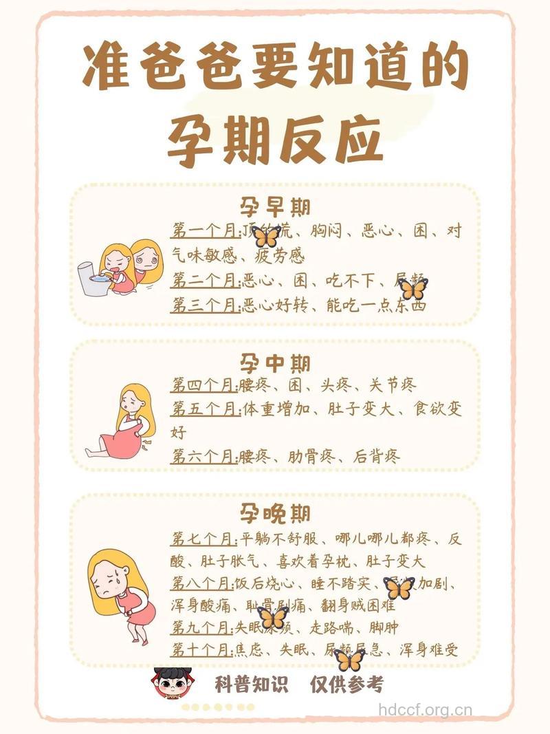 官方好孕了 好孕经验分享