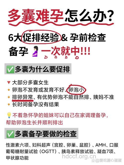 多囊好孕 网友好孕经验总结