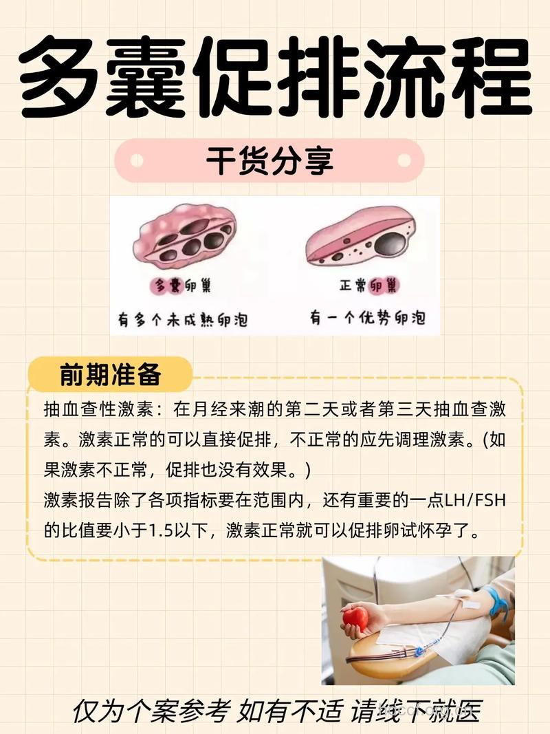 多囊促排一月好孕 好孕经验分享