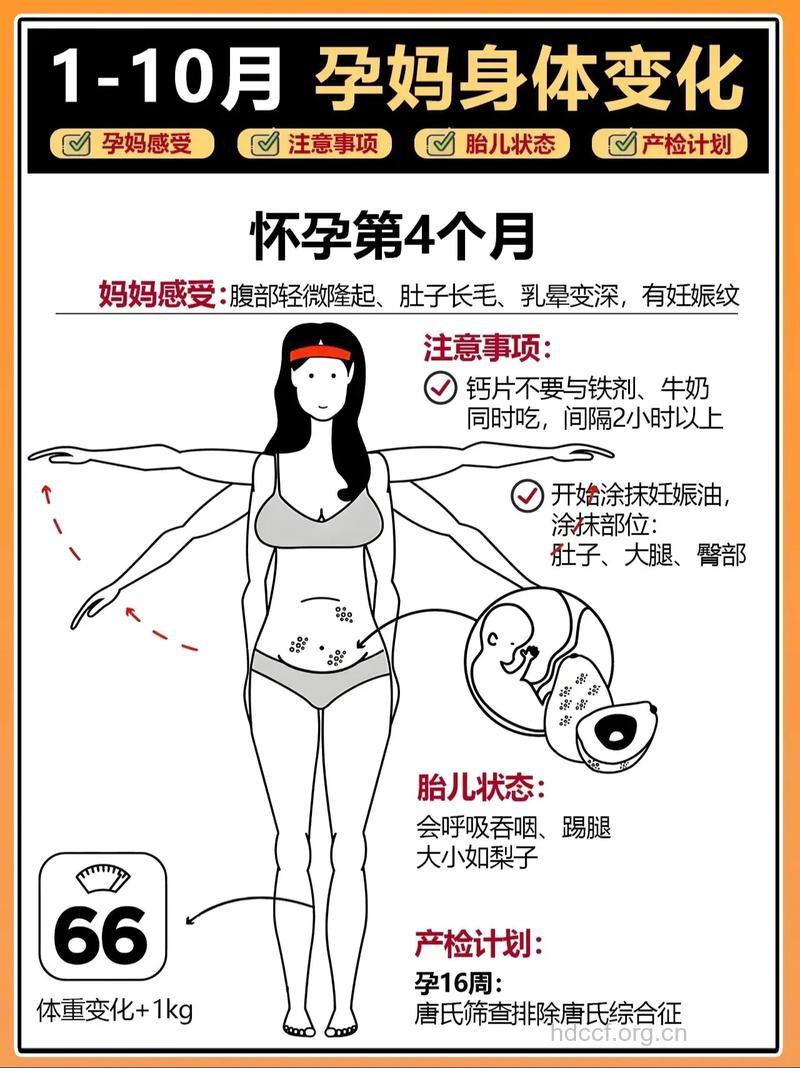 备孕四个月 好孕过程和经验分享