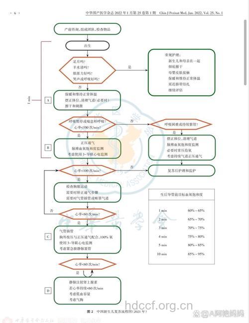 新生儿窒息的复苏方案