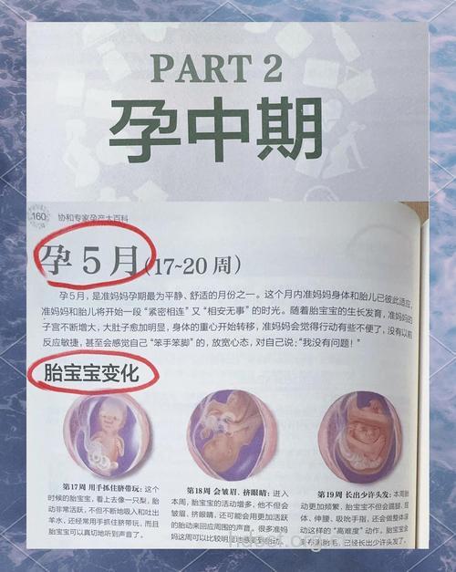 多囊七年 网友备孕5个月好孕经验分享