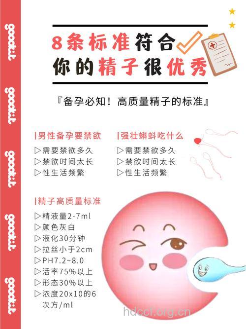 精子质量好很重要 网友备孕成功经验分享