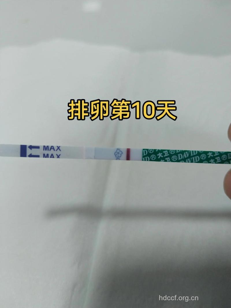 排卵第十天官方好孕 备孕成功经验分享