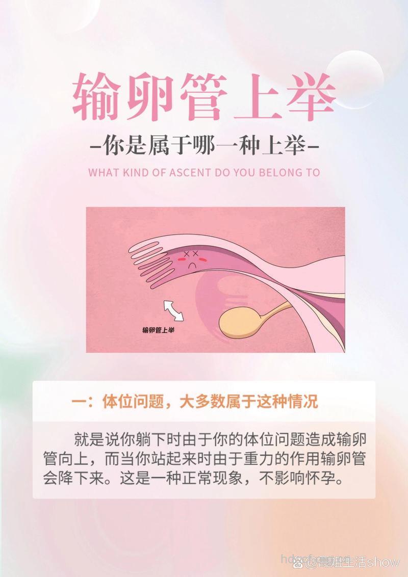 输卵管迂回上举怎么怀孕？网友好孕经验分享