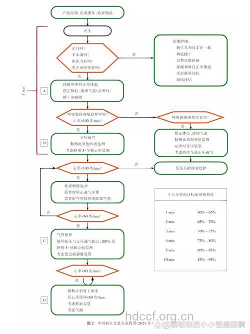 新生儿窒息的复苏程序