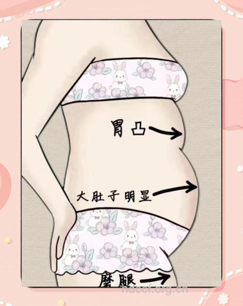 孕妈摸肚子有学问 4种情况不宜摸