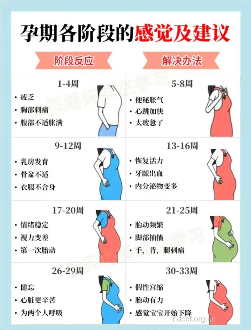 克服早孕反应 孕妇怎么做