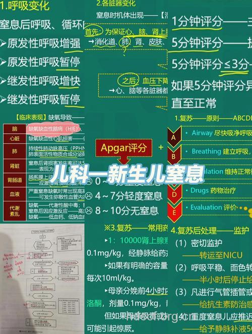 哪些因素会造成新生儿窒息?