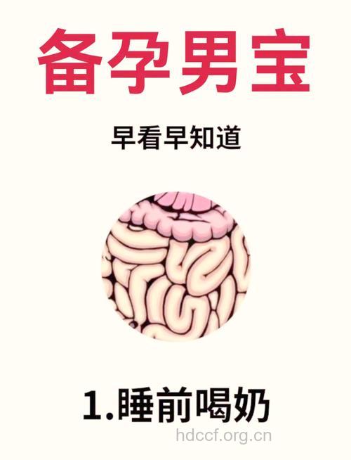 备孕二胎成功生男孩经验分享