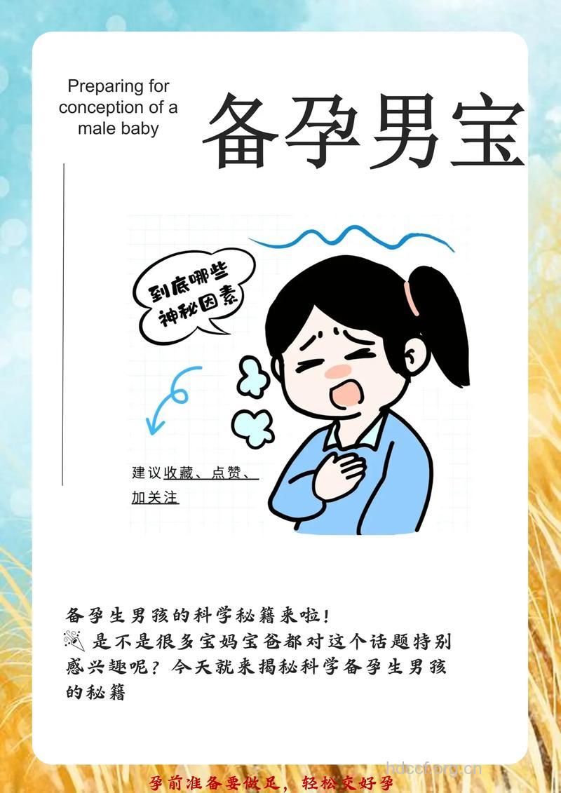 宝妈备孕二胎成功生男孩的经验分享