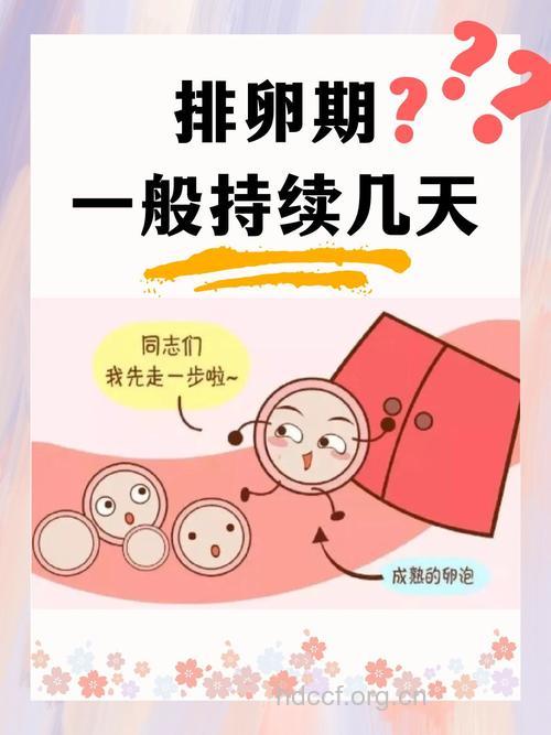 别紧张排卵期 排卵期以外也会排卵