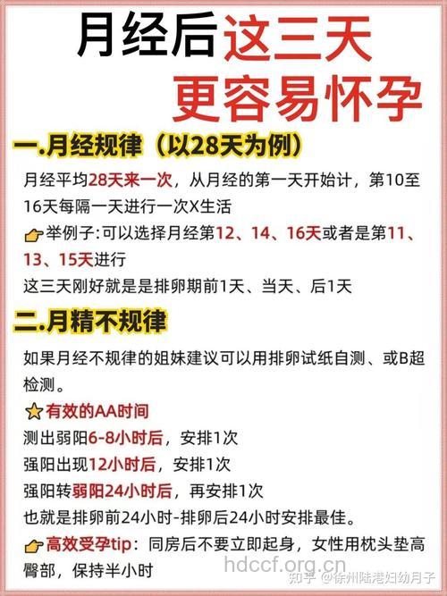 排卵期天天AA 备孕二胎成功经验分享
