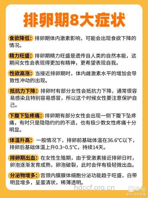 了解排卵期有什么症状 为受孕做准备