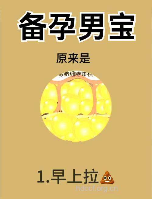 妈妈分享备孕男孩成功经验