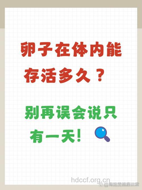 卵子在女性体内可以存活多久